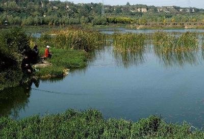 水库|衣带渐宽终不悔    为鱼消得人憔悴