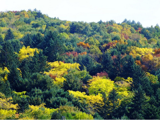 缘分淡了|北国风光小兴安岭，众多的山脉各有各的特色，惊艳你的视觉
