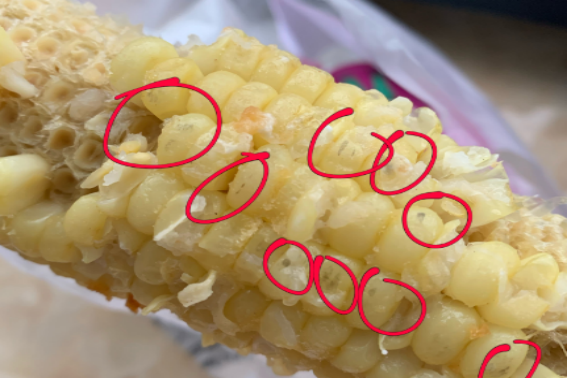 39健康网 多所名校联合呼吁：停止食用“一粗粮”，或加速乳腺癌变，趁早扔