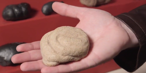 |神秘生物：暗中操控着你的美丑胖瘦