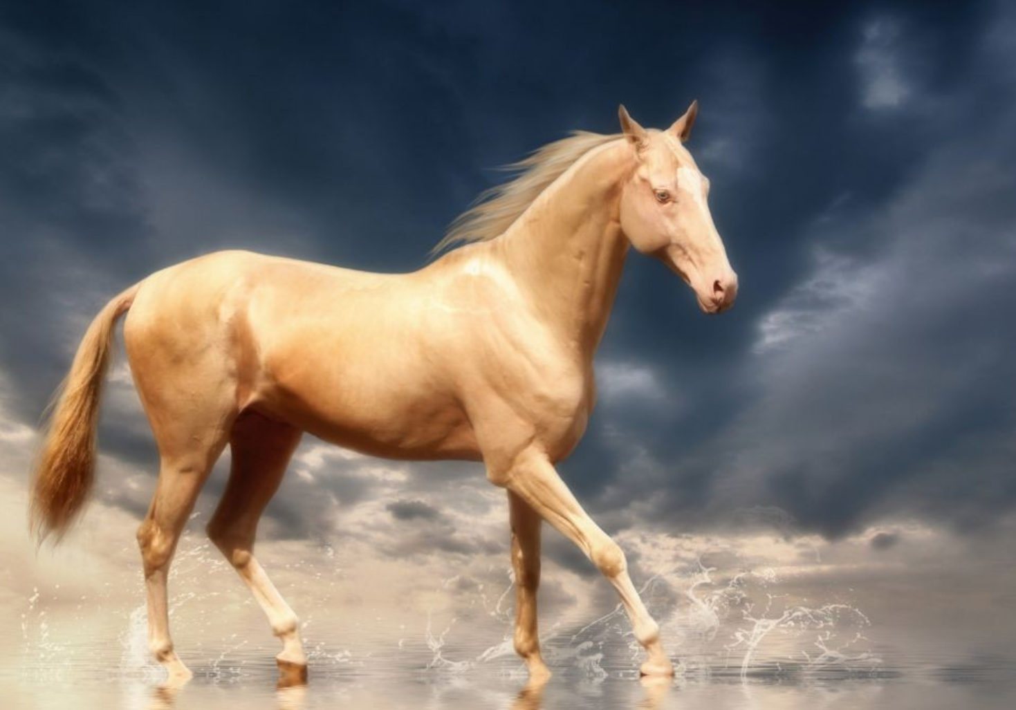 生肖|好运降临到属马人身上,把握住眼前的天赐良机,得到升职加薪机会