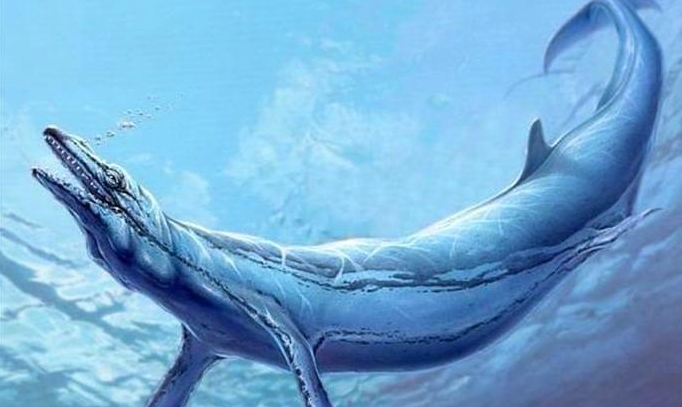 月亮|远古海洋争霸史，五大深海怪兽