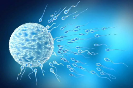 备孕|3种食物是“生精王”，男性不妨多吃，备孕或能“随心所欲”