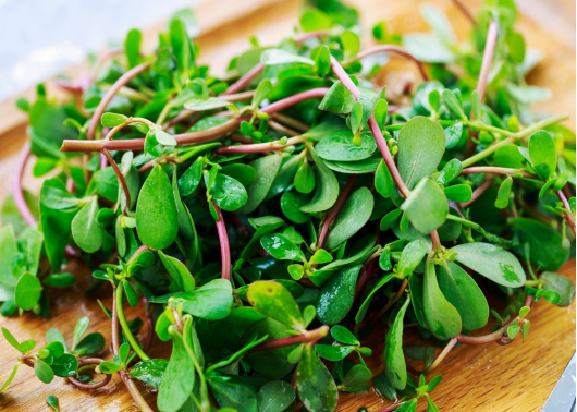 朱医生讲健康 甲状腺的“黄金伴侣”找到了，并非燕麦，每天坚持吃，可消除结节