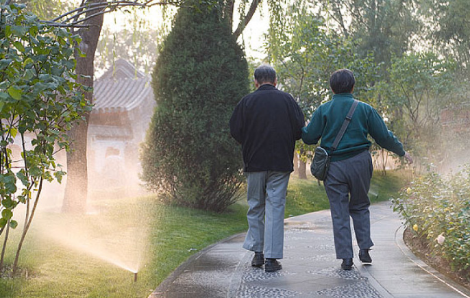 糖尿病|红薯是糖尿病的“催化剂”？医生：不想胰岛报废，这3物也要忌口