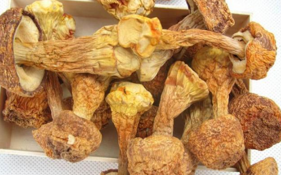 饮食|上门女婿感染上HPV,丈母娘无言,全家集体中招,医生叹息:真是胡来