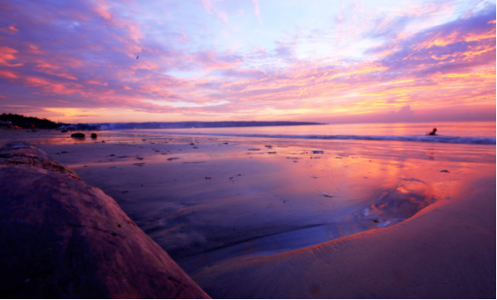 科学家 做人要像星星，很大，但看起来很小