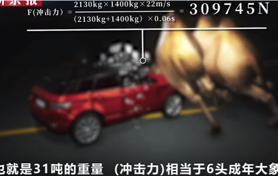 车祸 下得了手？律师解读于月仙车祸司机全责应处3年徒刑，司机是表侄