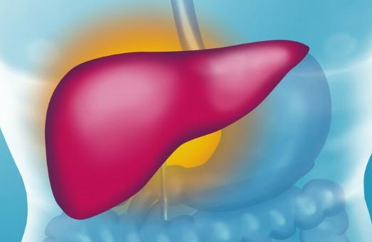 肝脏|42岁男子喝酒20年，肝脏依旧柔嫩，肝胆科主任：酒后2件事做得好