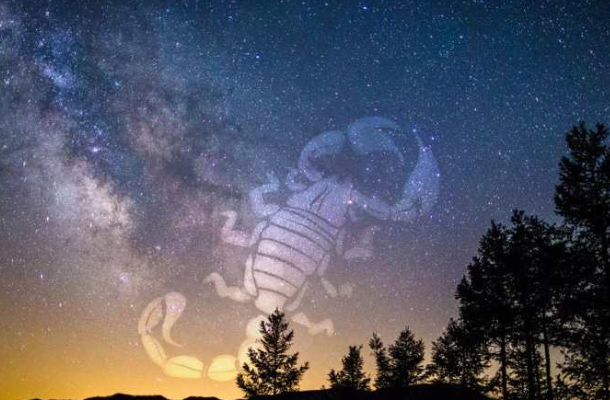 梅梅星座分析|天蝎座的男生热情似火，冷静具有防备心，绝不容许背叛