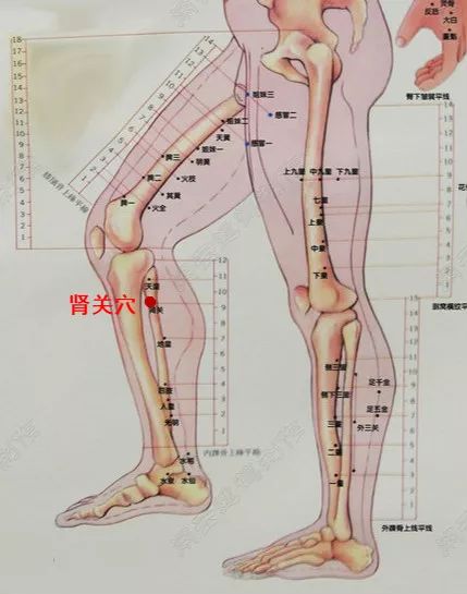 六度微言|补肾最常用的6大穴位