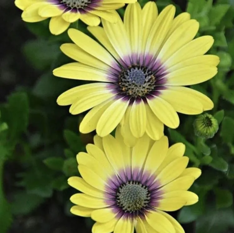  巴夏Bashar：奇迹，不是例外，体验不到奇迹，才叫异常!