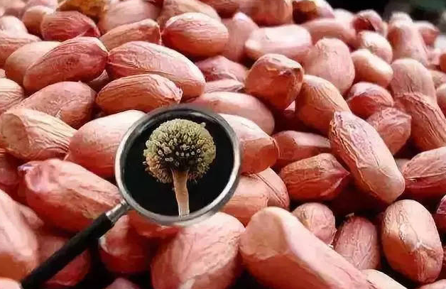 脾胃|这种“粗粮”比泡面还毁胃,消化科医生:不想肠胃“烂掉”,少碰为好