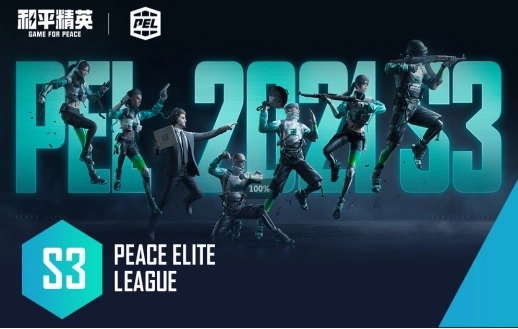 电子商务|PEL职业联赛NV开启推土机模式豪取两鸡,网友:这就是NV的追分能力