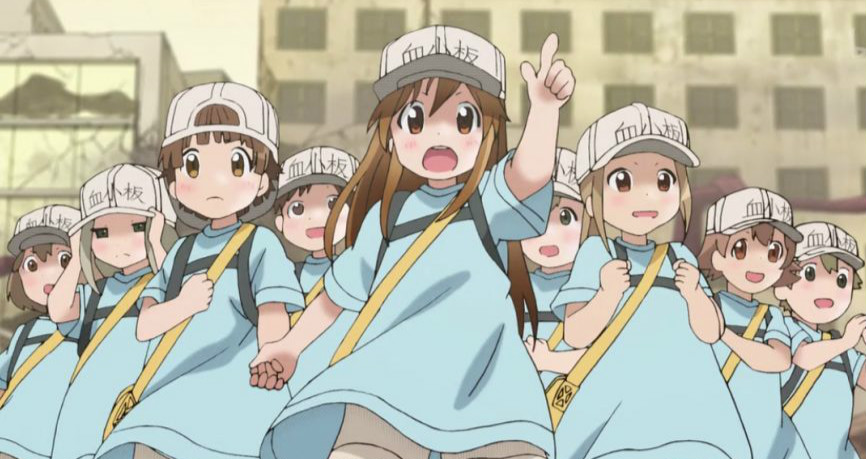 工作细胞|《工作细胞》究竟有何魅力，迷倒万千少男少女