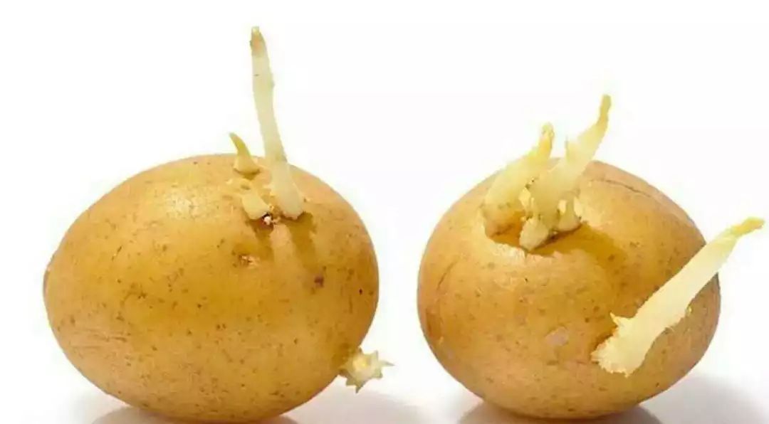 肝脏|肝脏好不好，低头看看脚，脚上若没这3个表现，肝脏还算健康