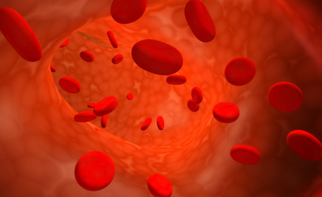 高血脂|“升脂大户”已找到，不是肥肉，还有人天天吃，小心血脂飙升