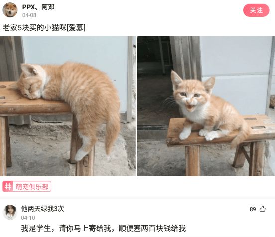 likeyou|各位猜猜哪个是真警察！