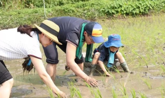 郭晶晶|叫霍启刚太生疏，叫老公太普通，听到郭晶晶的称呼，网友都佩服！