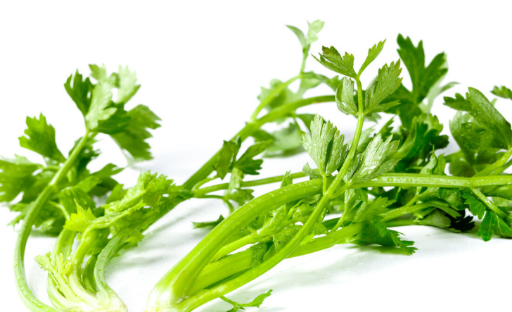 蔬菜|甲状腺的“保护伞”被发现，不是芹菜，若你爱吃，结节一天天变小