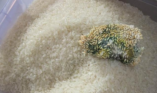 尿酸|64岁老人甲状腺癌离世,世卫组织呼吁:1“早餐”尽快停用,别贪吃