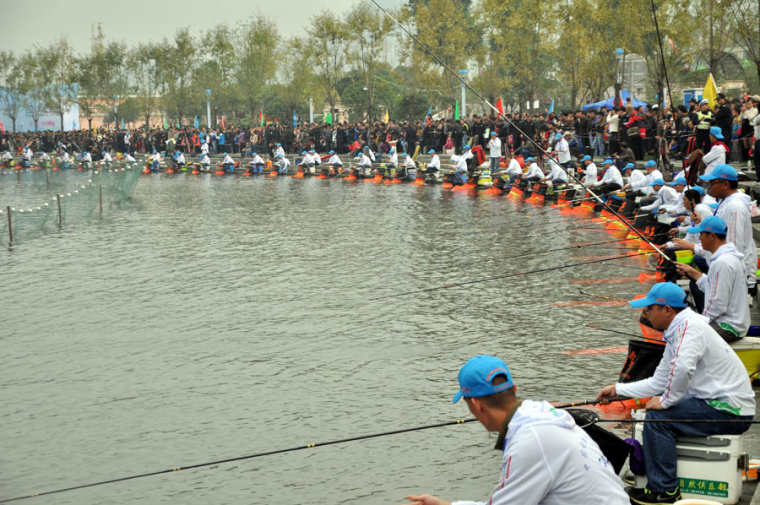 饵料|衣带渐宽终不悔 为鱼消得人憔悴