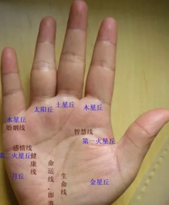 诚然情感之事|手相如何看你财运的衰旺