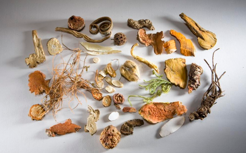 番茄医生在线 32岁女白领查出2cm乳腺结节，半年降到0.2cm，医生：值得借鉴