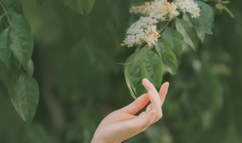 玄风命理|容易有心理疾病的几种八字