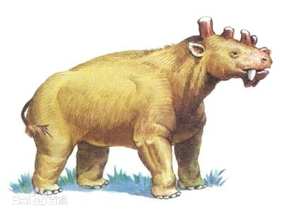 生物考古 盘点史上那些长相怪异的生物