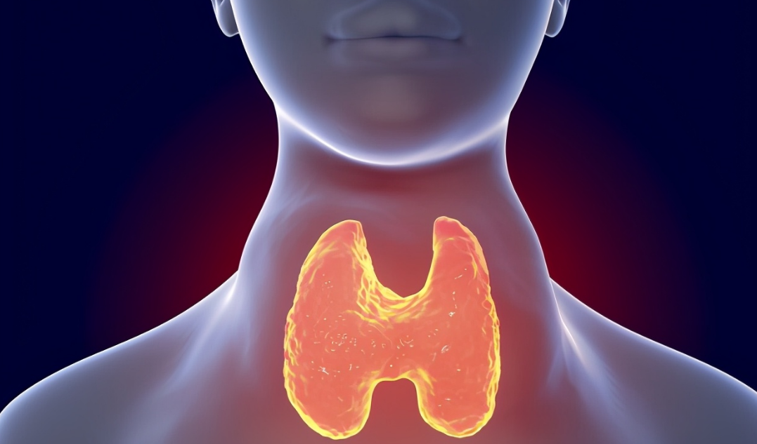 苹果|甲状腺癌的“克星”已找到，不是枸杞，医生：放心吃甲状腺会感谢你