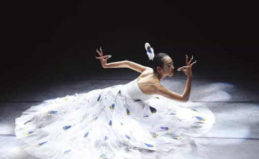 杨丽萍|62岁杨丽萍仙气全无，曾长年吃花瓣，如今剪了3厘米指甲拄拐出行