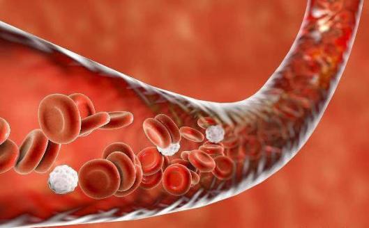 运动|高甘油三酯不能吃甜食？专家提醒：除了甜食，这4种食物也别多吃