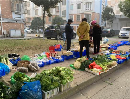 浙江一小区保安陪同晕倒的卖菜老太就医,家属索赔49万,法院判了