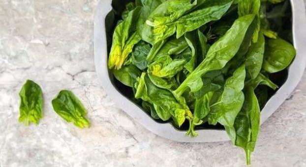 睡眠|藏在身边的“瞌睡王”已找到,不单是酸枣仁,睡前嚼一嚼,熟睡如婴儿