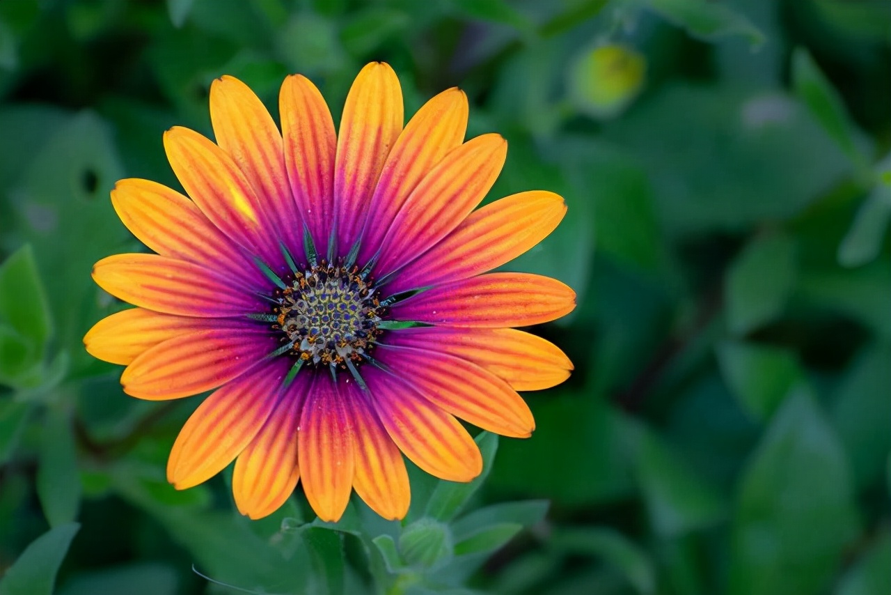 大肠腿在这里|人与人之间，即是一份缘！