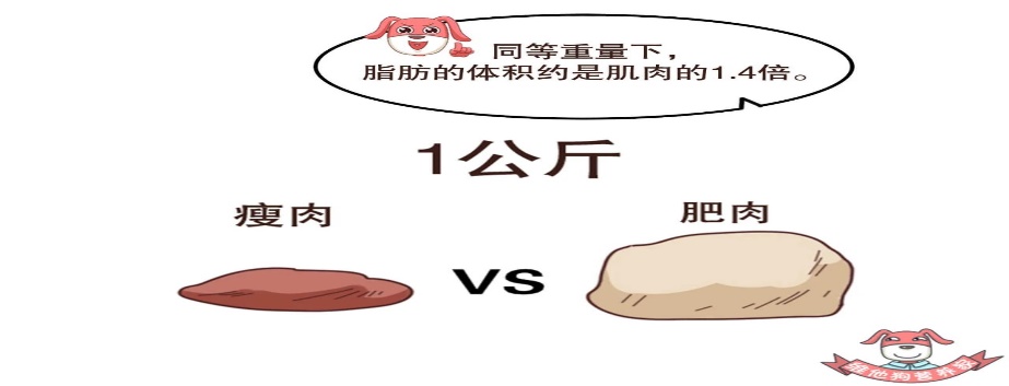 运动 体重下去了