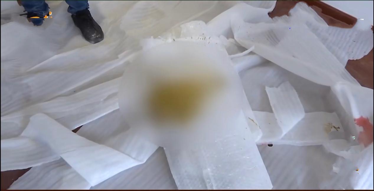 小贾侃侃侃 收房时发现问题，维修后主卧出现排泄物