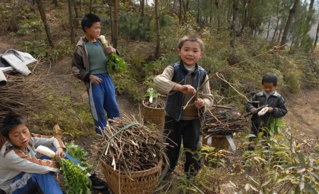 幽门螺杆菌|大蒜萝卜靠边站，它才是“灭菌大王”，平时可劲儿喝，幽门螺杆菌没了