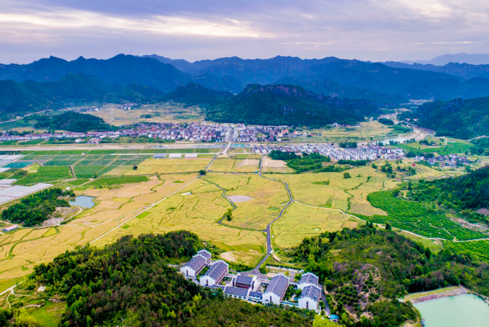 村头小天 2021年：粮补、粮价会不会涨？农民请支持