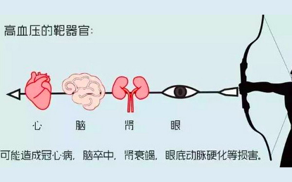 天天听健康|高血压人群的“指路明灯”，吃1次就等于吃了3个月芹菜，降压效果怎能不好？