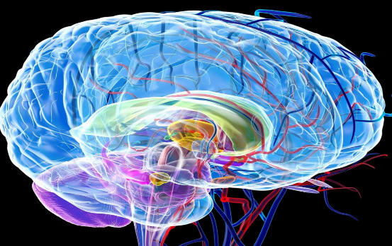 脑梗|多家医院联合发表：“饭后1习惯”赶快停止，易诱发脑梗，及时改正