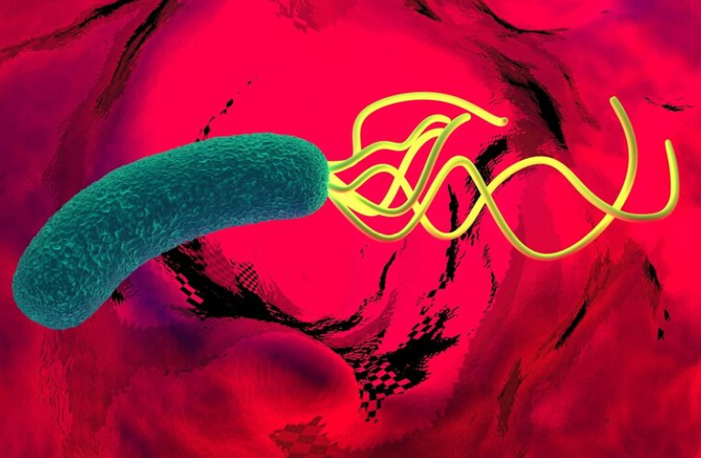 水果|幽门螺旋杆菌是怎么来的？医生：2类食物，再喜欢也不能往嘴里塞