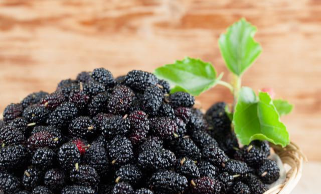 看大医|“养肝千日，毁肝一时”，千万不要碰这1物，不然伤肝又伤身！