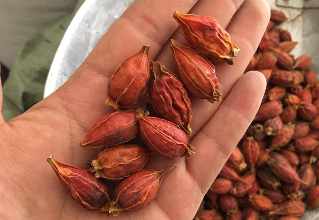 大蒜|尿酸高不知道怎么降下来?内科主任揭开3个“秘密武器”,现在了解还不晚