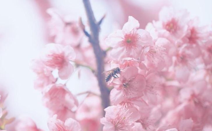 乐乐情感说 所谓：“聚光灯效应”，就是“人贵有自知之明”