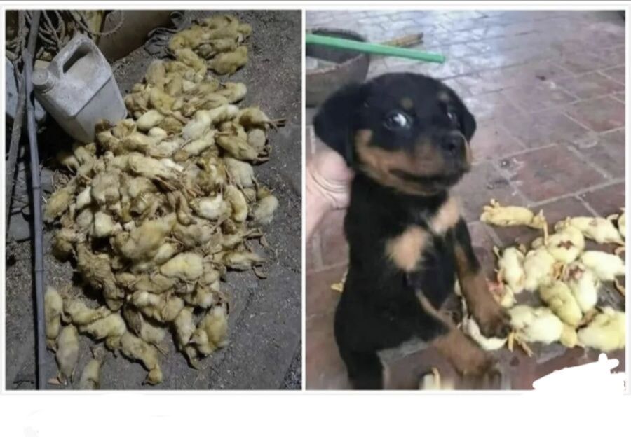 最终幻想起源|这就是传说中的背影杀手吗?