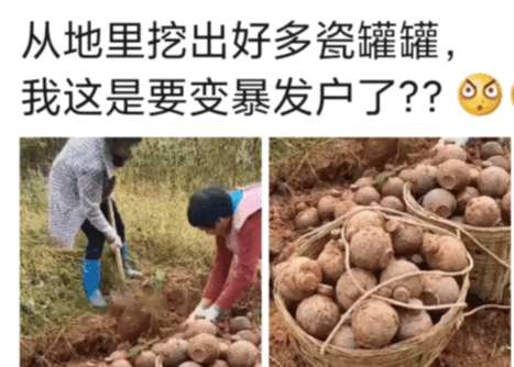 地里挖出这么多宝贝,是不是发财了啊?