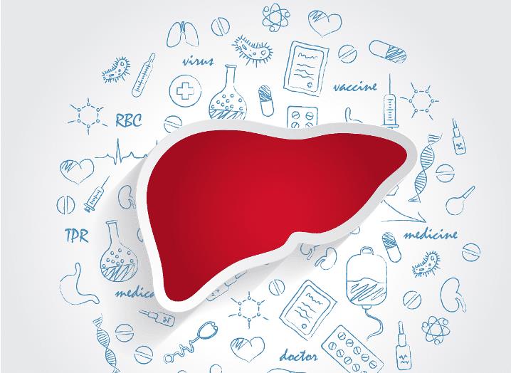 胃酸|肝胆科医生提醒:晨起有这4个表现,是肝在“求救”,别等肝脏受伤严重才后悔