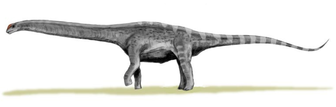 恐龙 历史上前八名，最恐怖的恐龙和最恐怖的史前动物